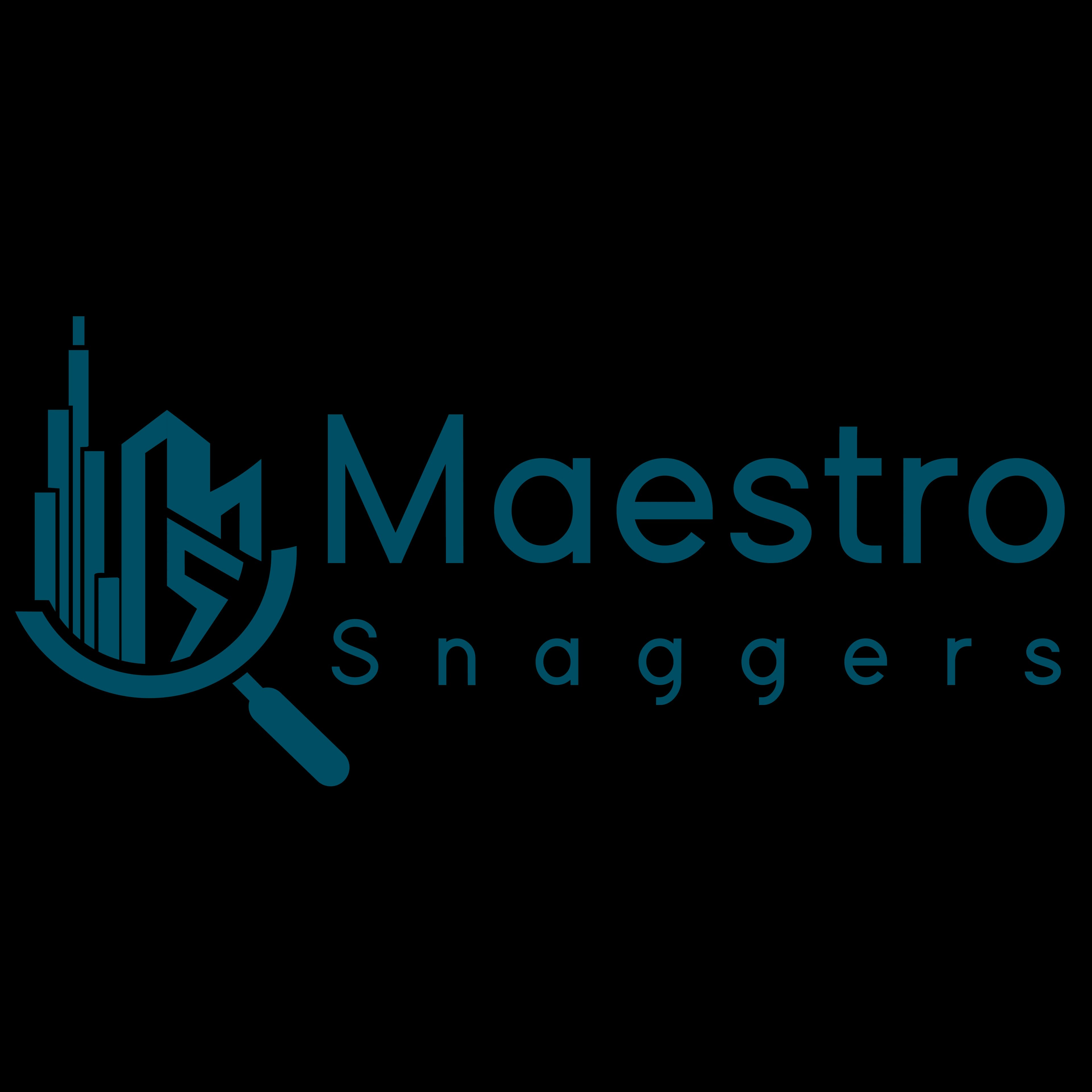 Maestro Snaggers Property Observer LLC profile photo