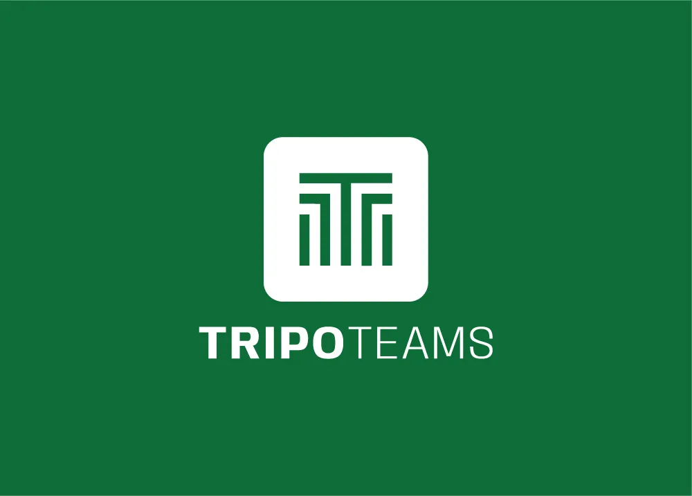 TRIPOTEAMS FACILITIES MANAGEMENT AND SERVICES L.L. cover photo